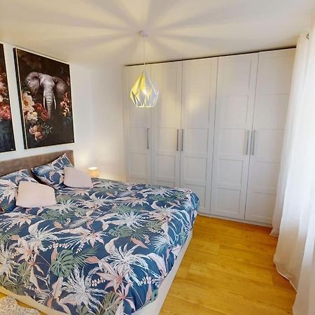 Modern Jungle - Colmar Appartement Buitenkant foto