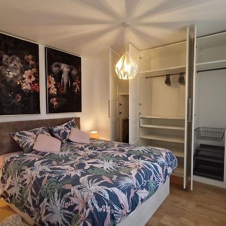 Modern Jungle - Colmar Appartement Buitenkant foto