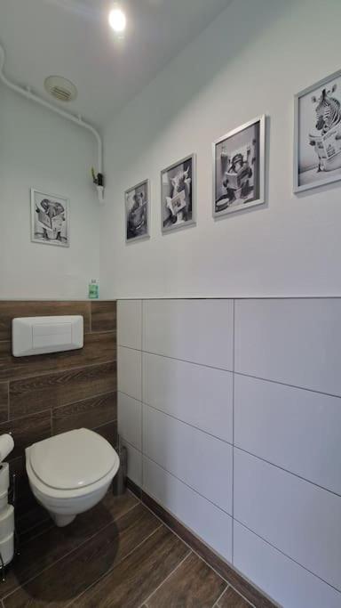 Modern Jungle - Colmar Appartement Buitenkant foto